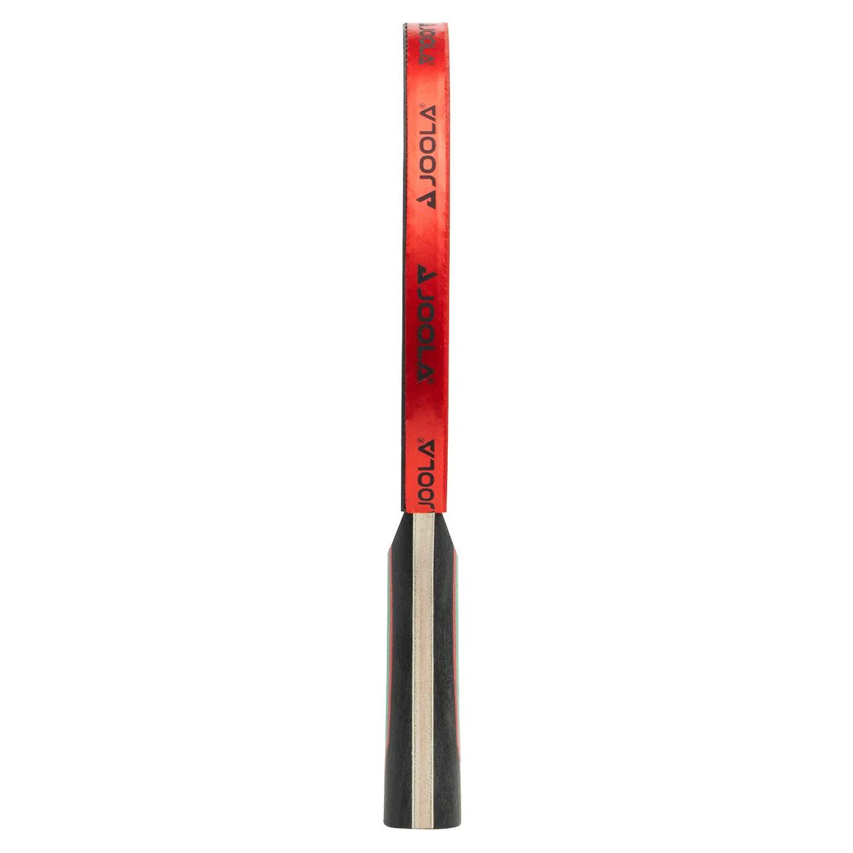 Paleta Joola Red Carbon CTR