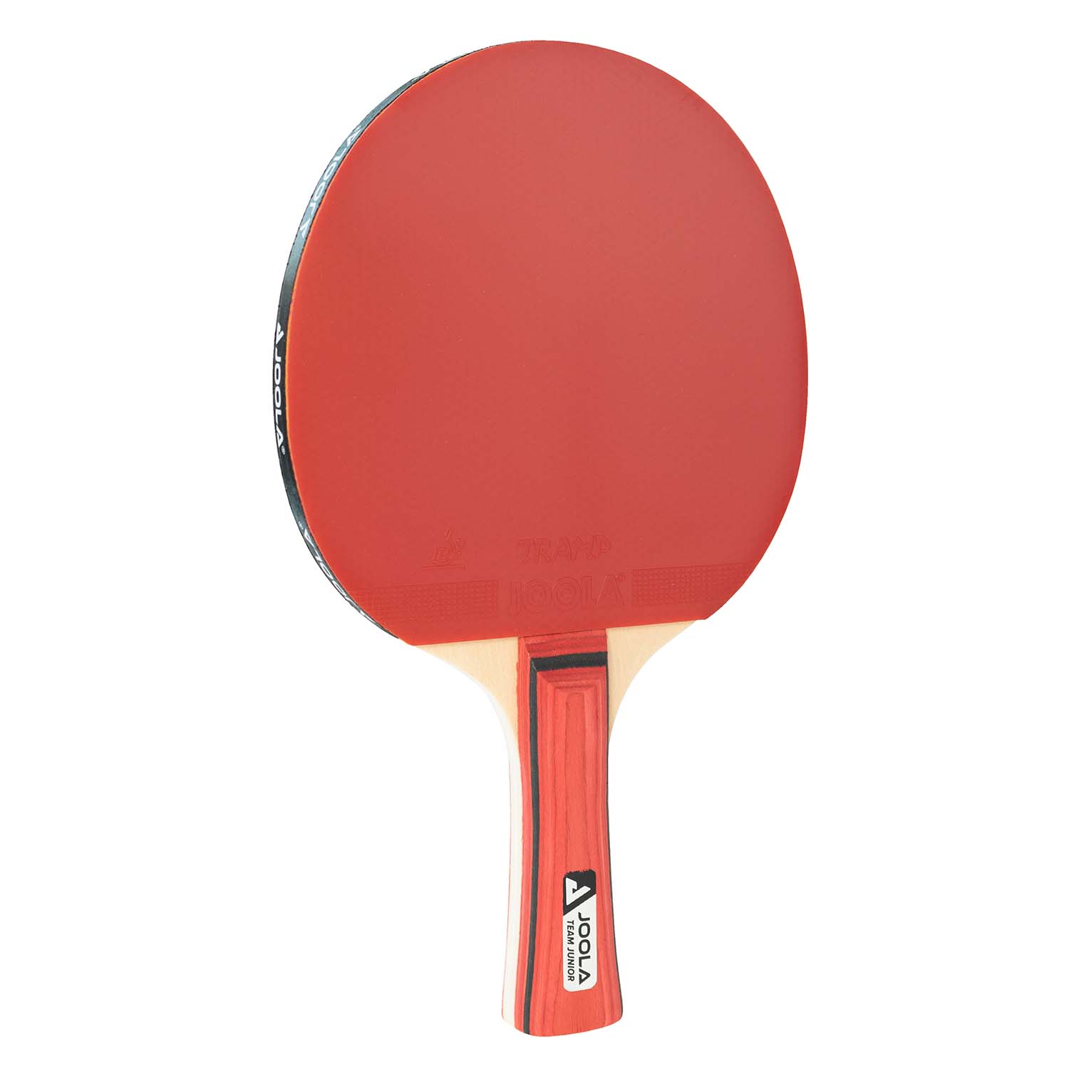 Paleta Joola Team Junior
