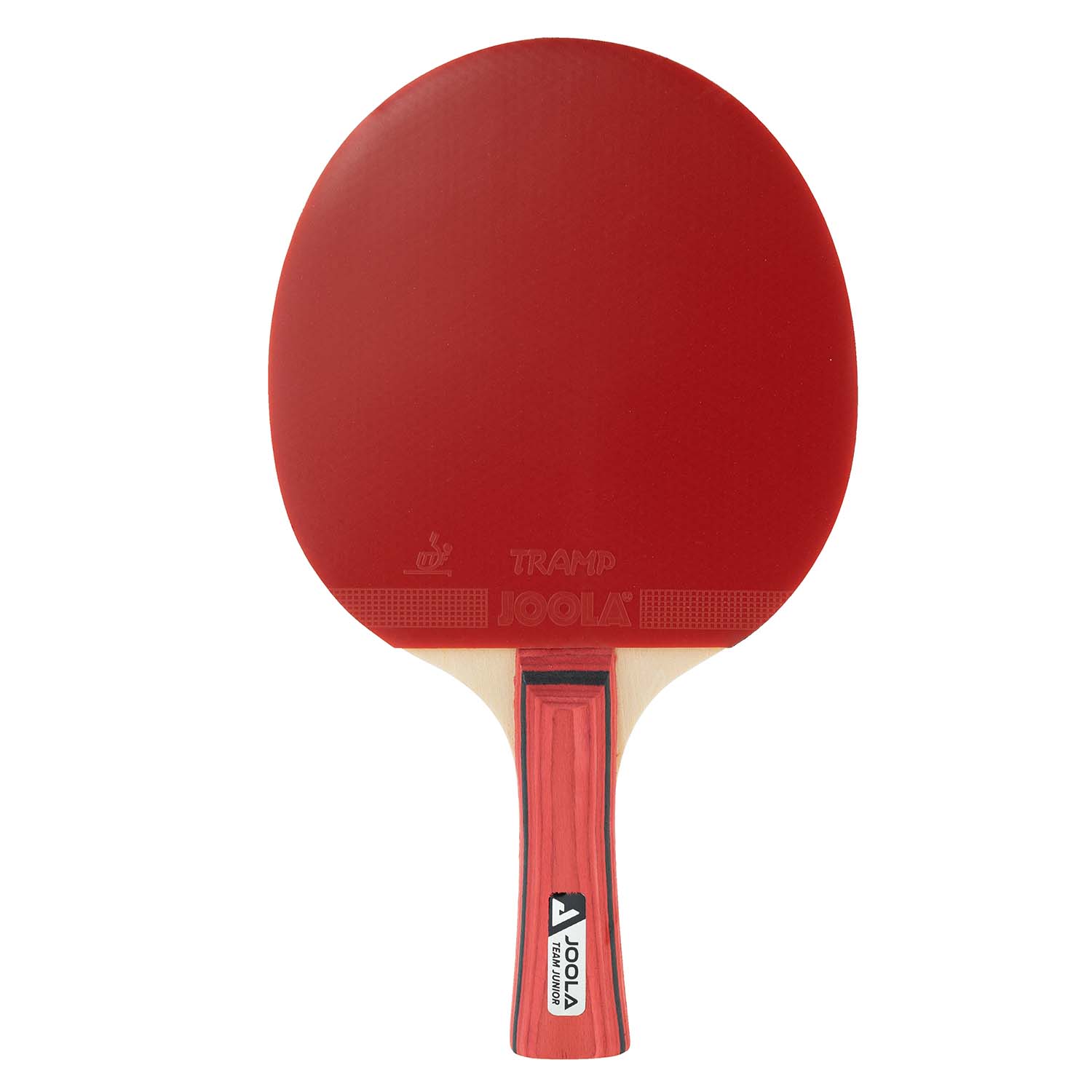 Paleta Joola Team Junior