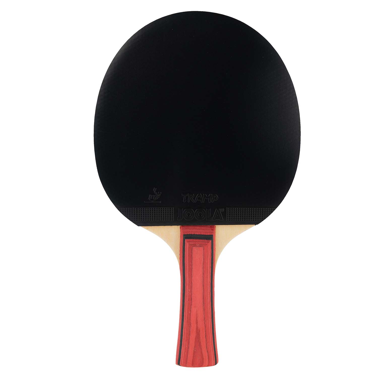 Paleta Joola Team Junior