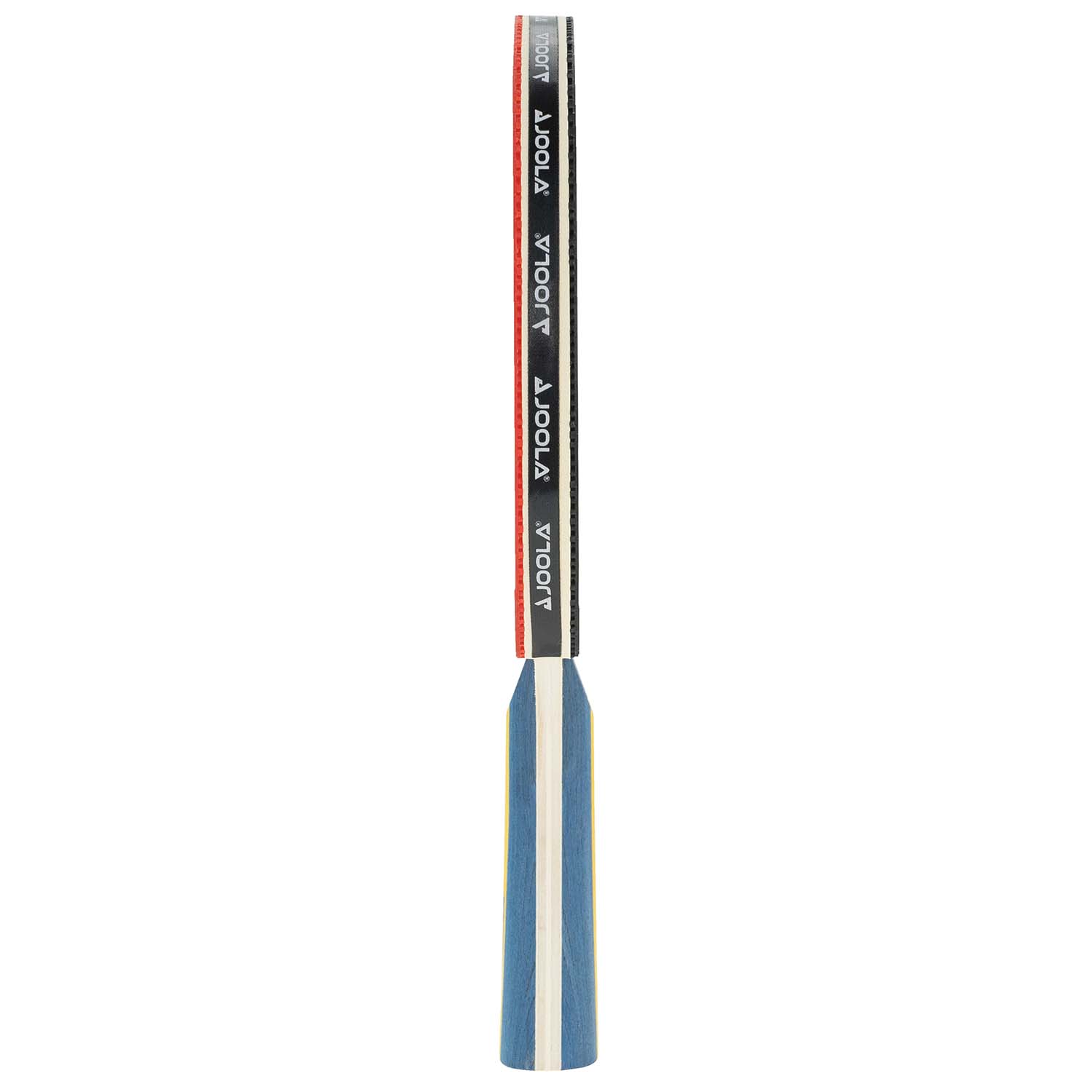Paleta Joola Team Master